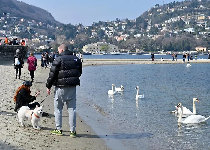 Lakesweetlakecomo Appartement *
